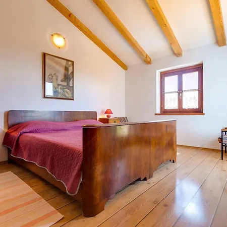 Villa House Irma *
